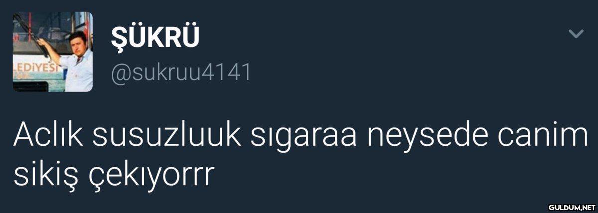ŞÜKRÜ LEDİYES @sukruu4141...