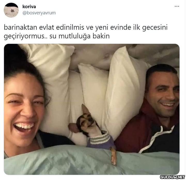 koriva @bosveryavrum...
