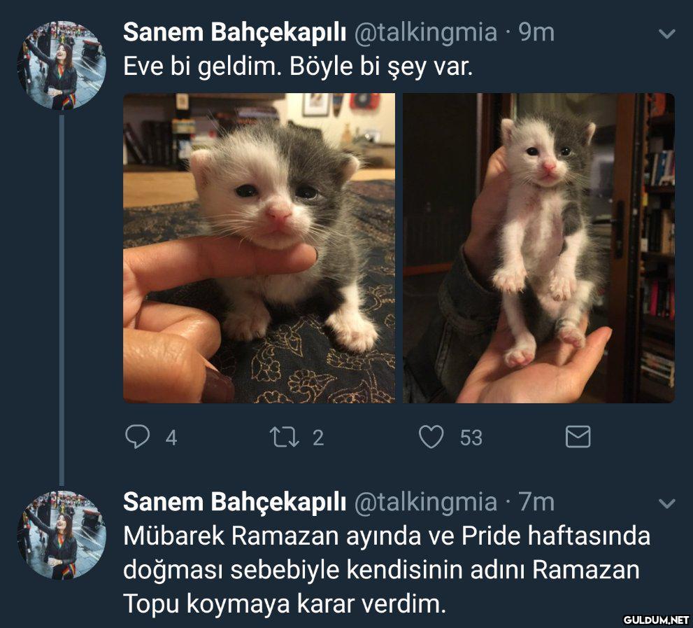 Sanem Bahçekapılı...