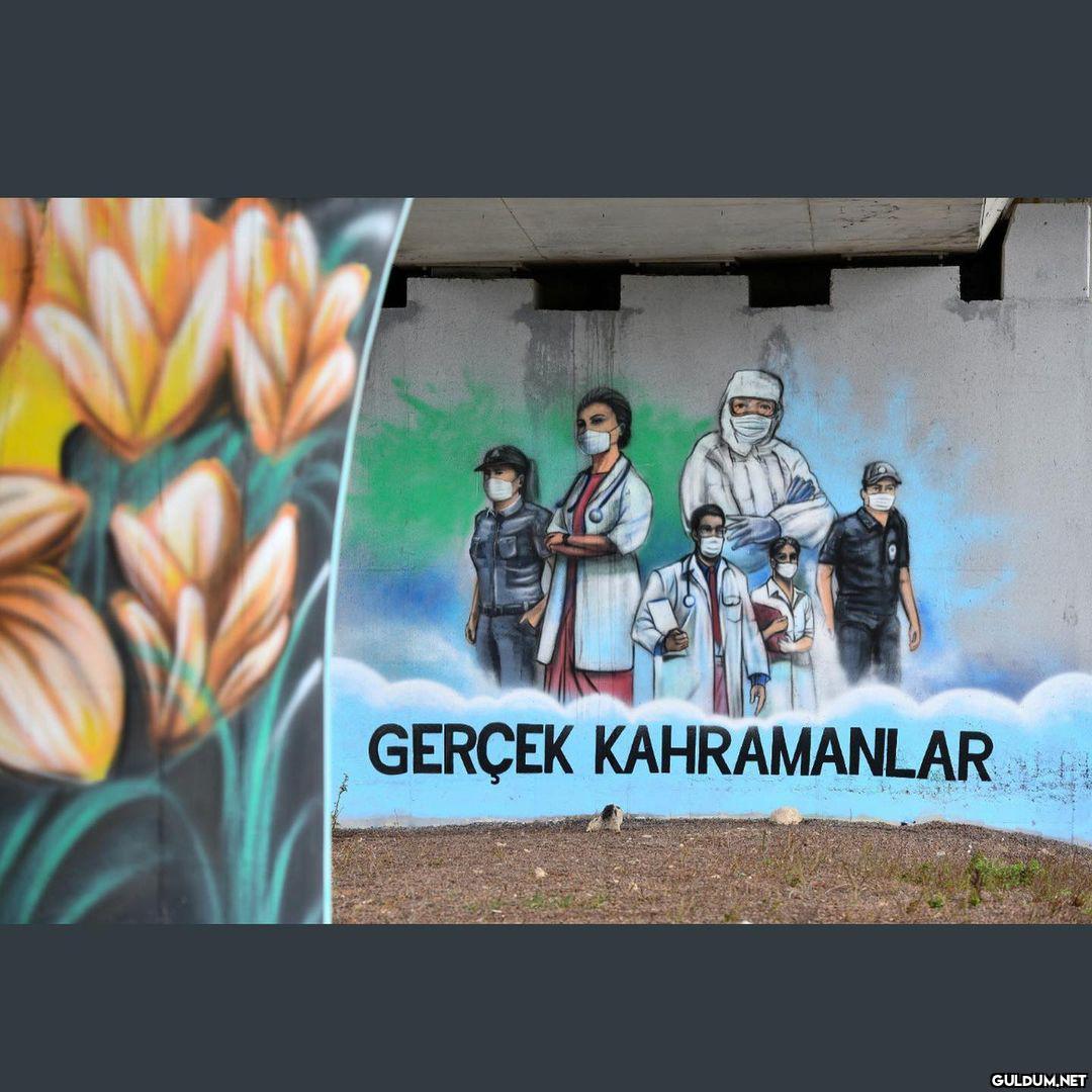 10/10 çalışma  Ayakta...