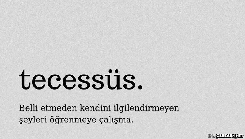 Tecessüs yapan çakalları...