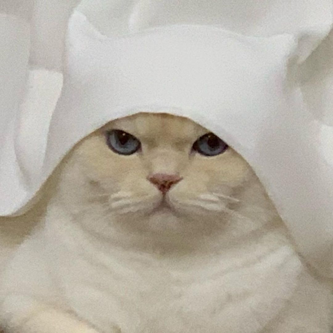(`ヘ´) 
📸...