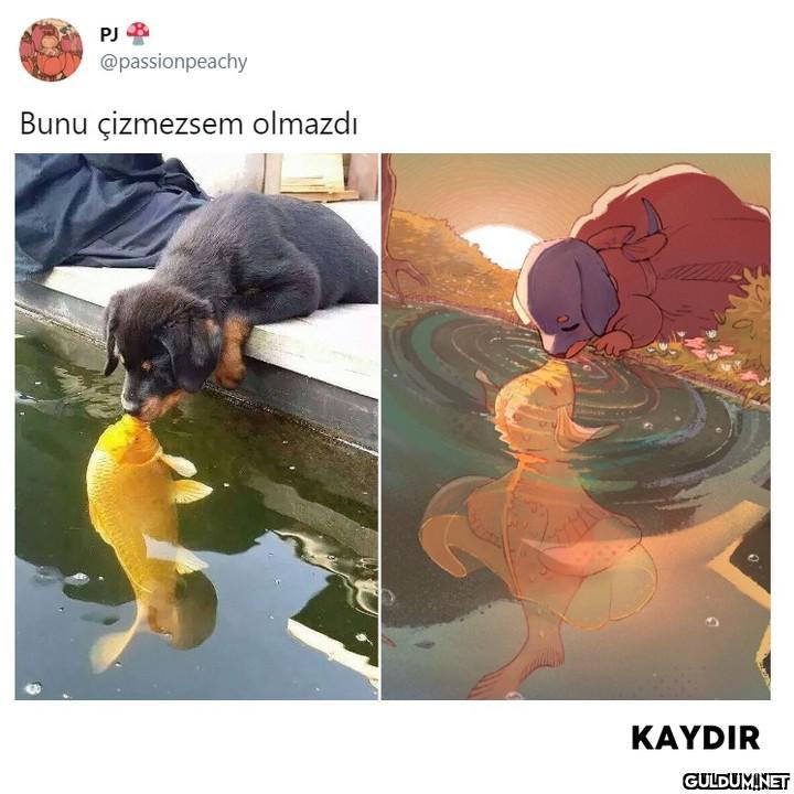 Popular post