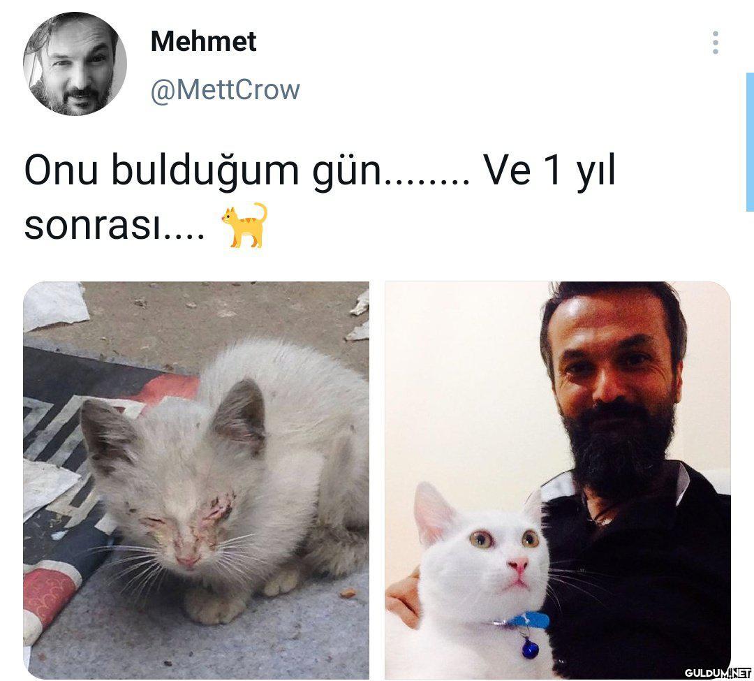 Mehmet @MettCrow Onu...