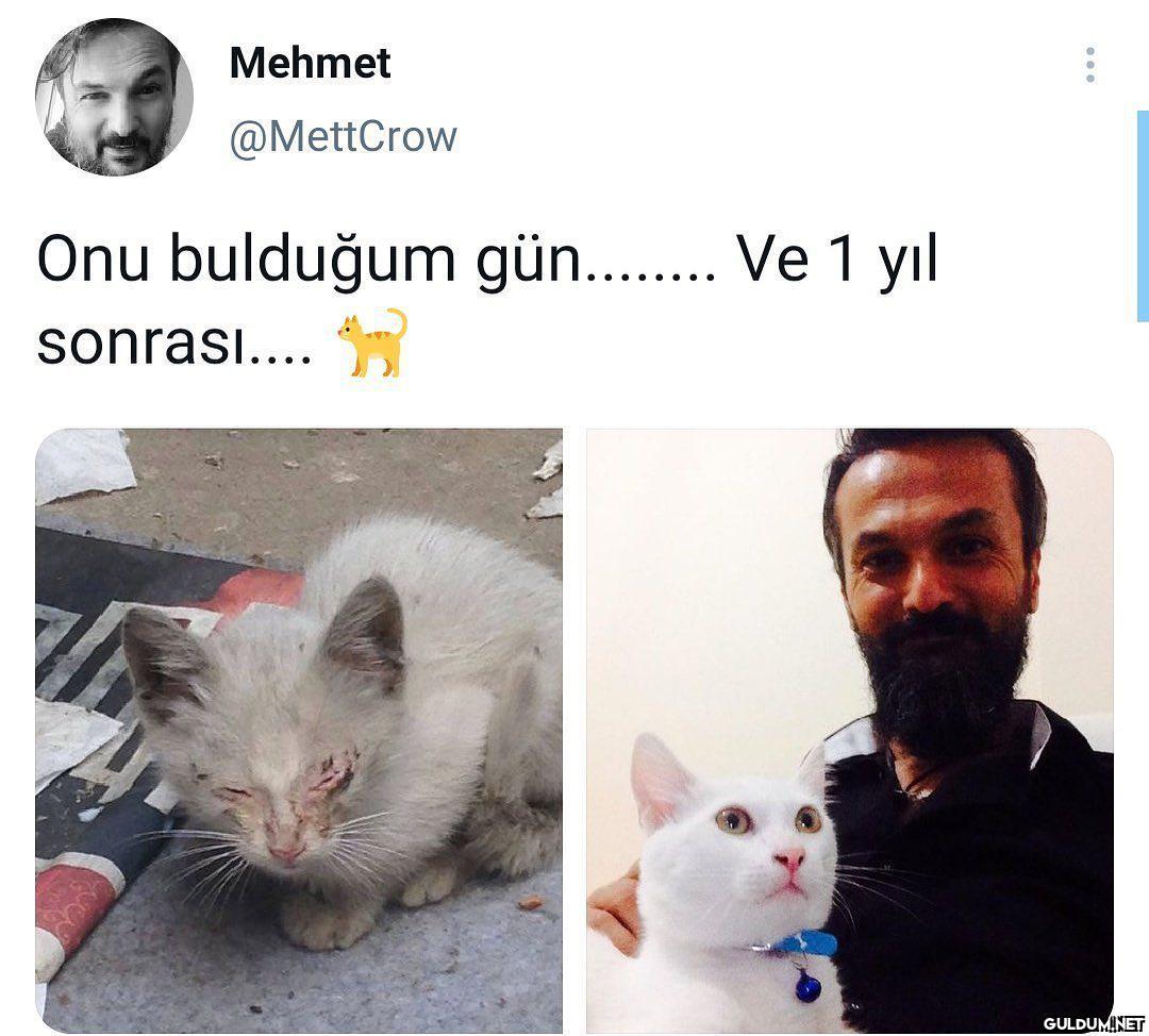 en güzel before after ...