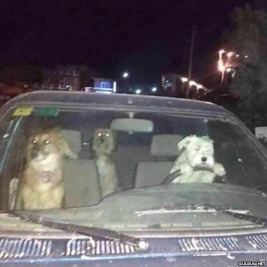 anlamsız fotoğraflar 7047 ...
