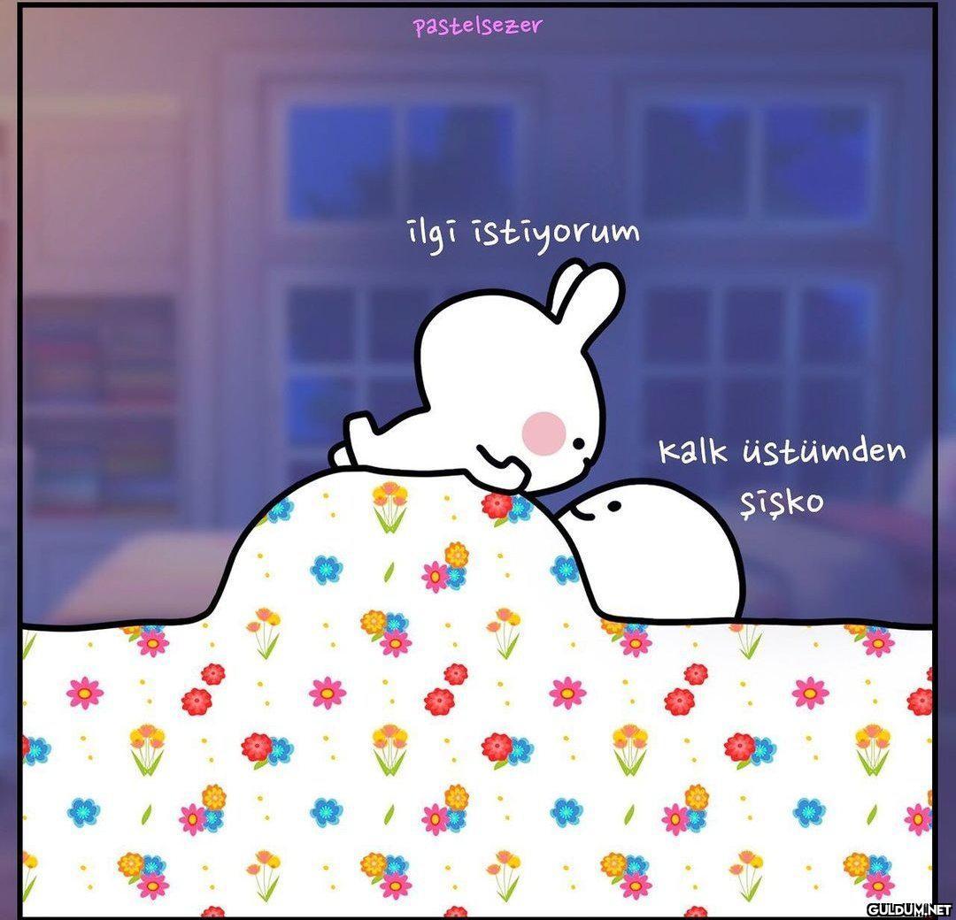 @satrayni    pastelsezer...