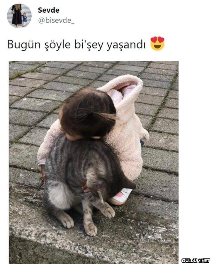 Sevde @bisevde_ Bugün...