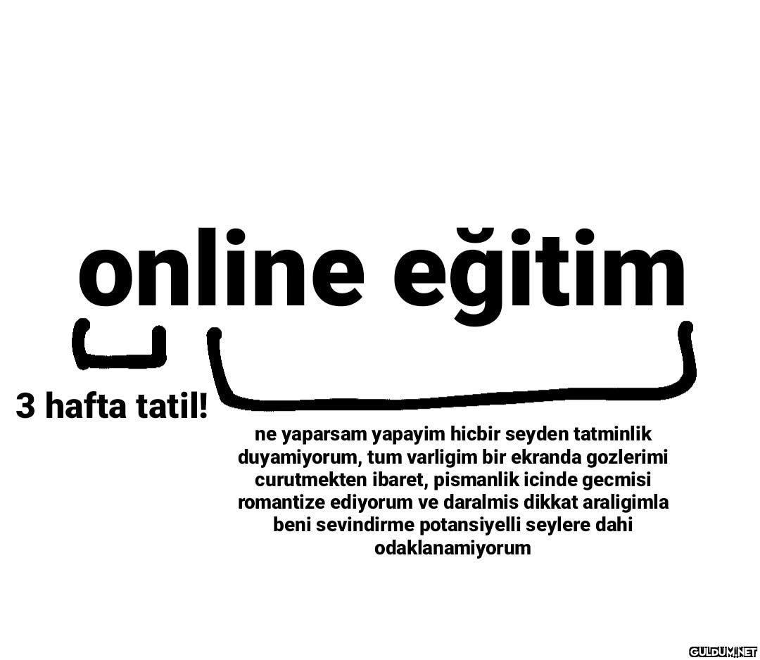 online eğitim 3 hafta...