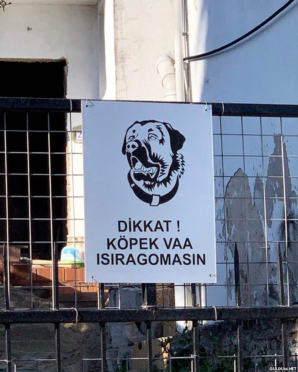 Kopartıverir etlerinizi...