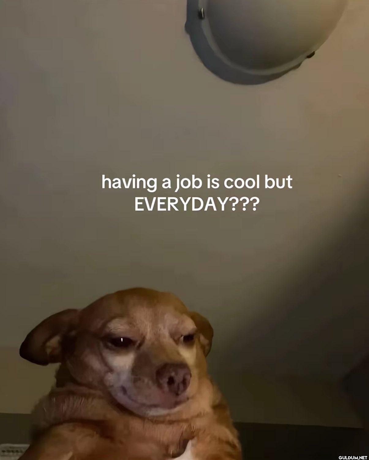 having a job is cool but...