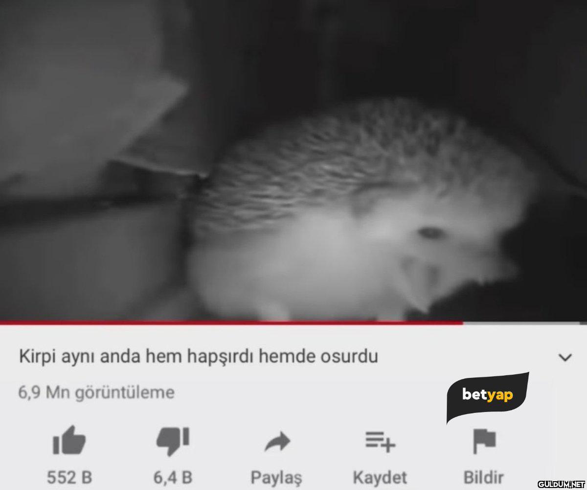 Çok önemli işim var sonra...
