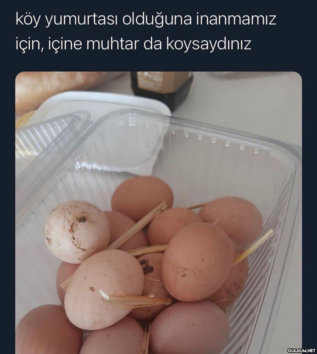 Ben inandım şahsen  köy...