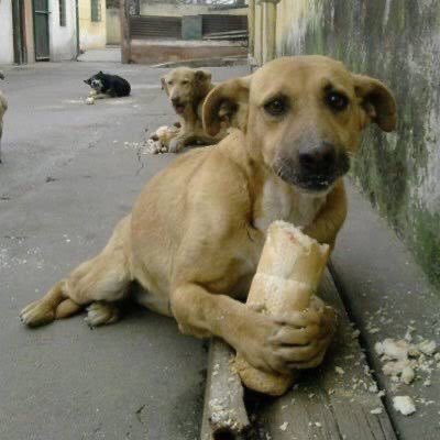 Dün geceki düşüşten sonra...