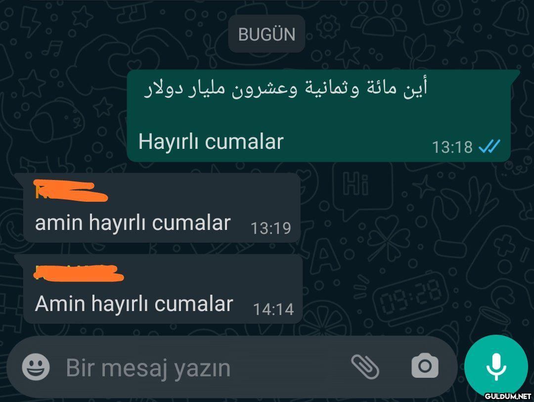 Siyasal İslam özet...