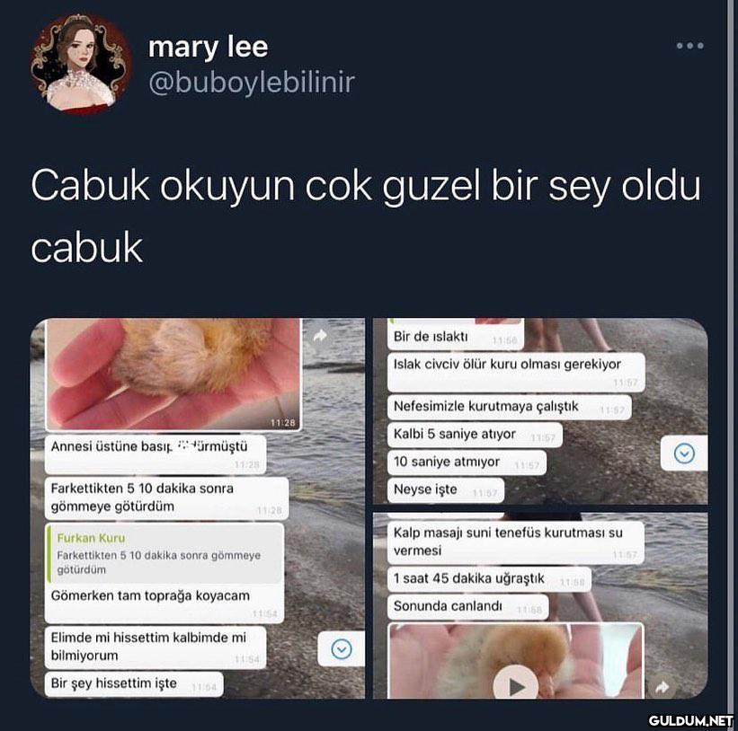 mary lee @buboylebilinir...