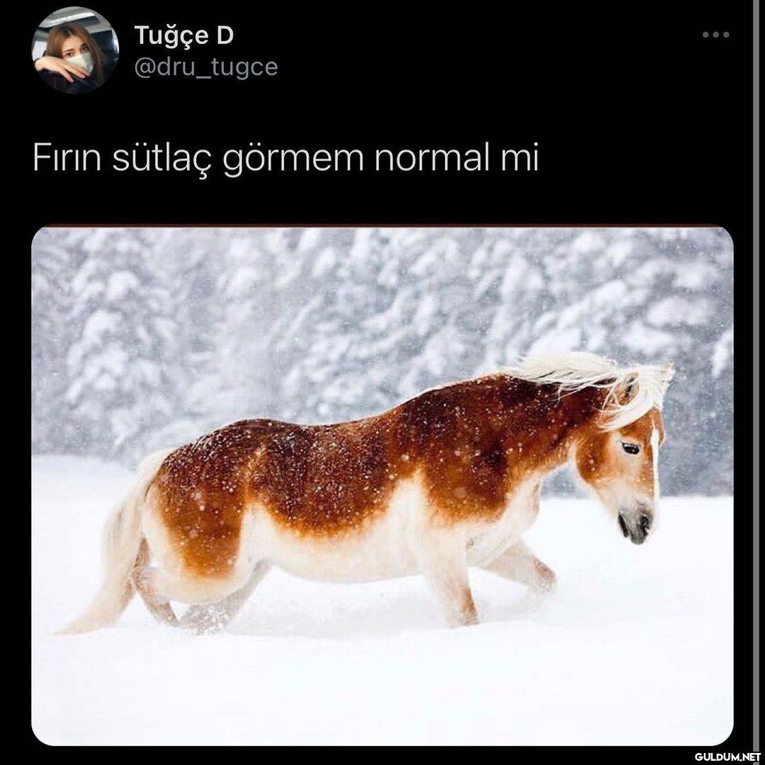 Öyle zaten  Tuğçe D...