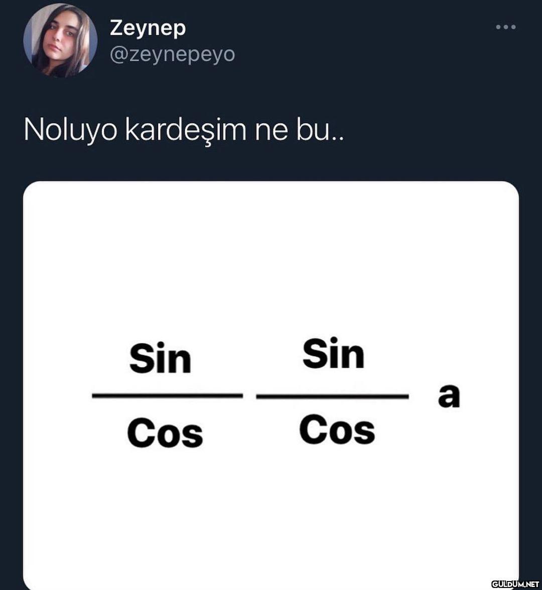 Sayısalcı mizahı  Zeynep...