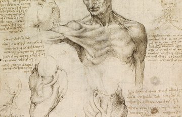 Leonardo da Vinci'nin...