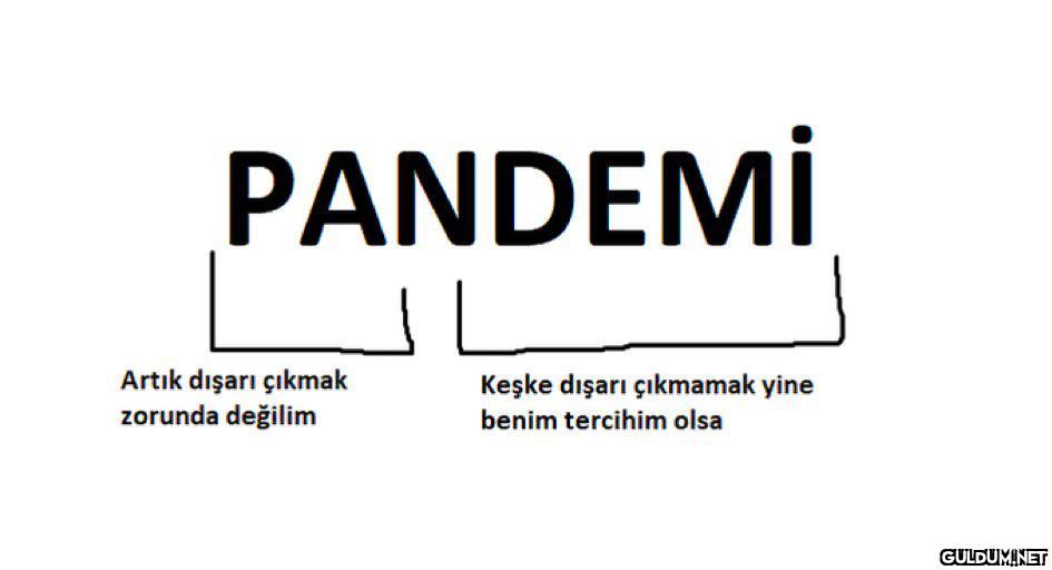 PANDEMİ Artık dışarı...