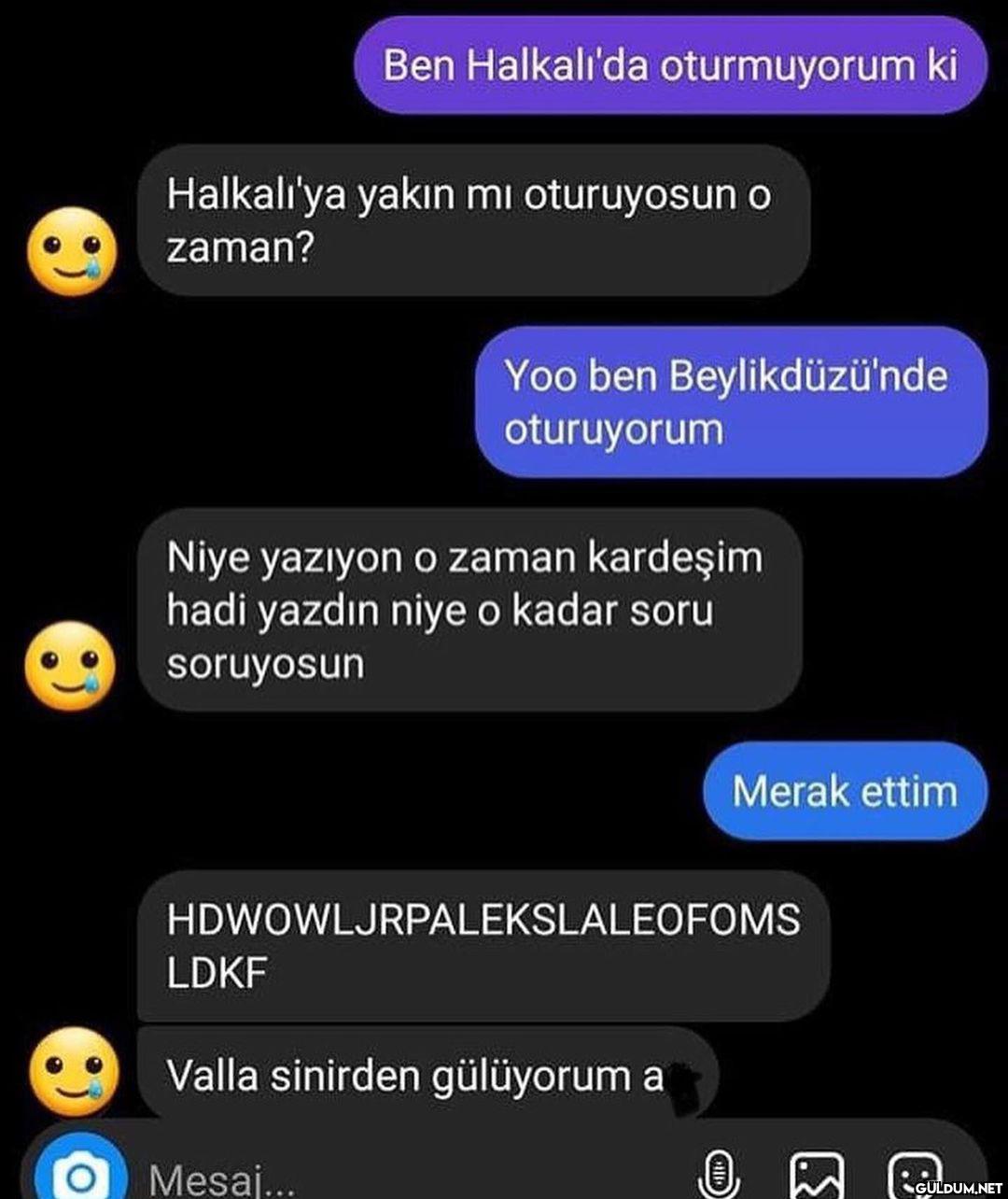 ALFJSLFKSLFKSK  Amacı...