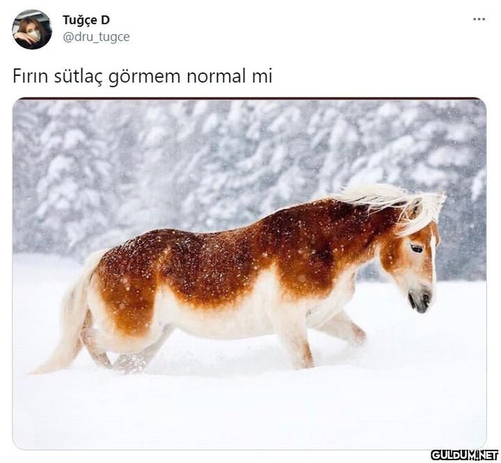 Oruç başıma vurunca ben; ...