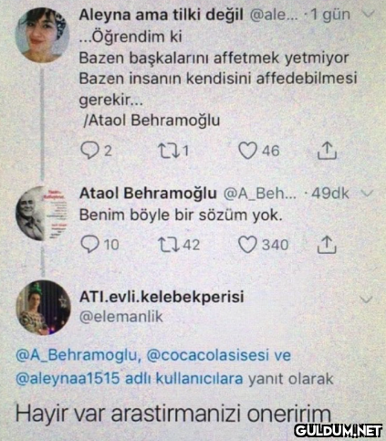 Aleyna ama tilki değil...