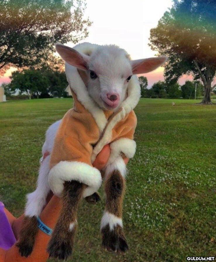 it’s called fashion. look...