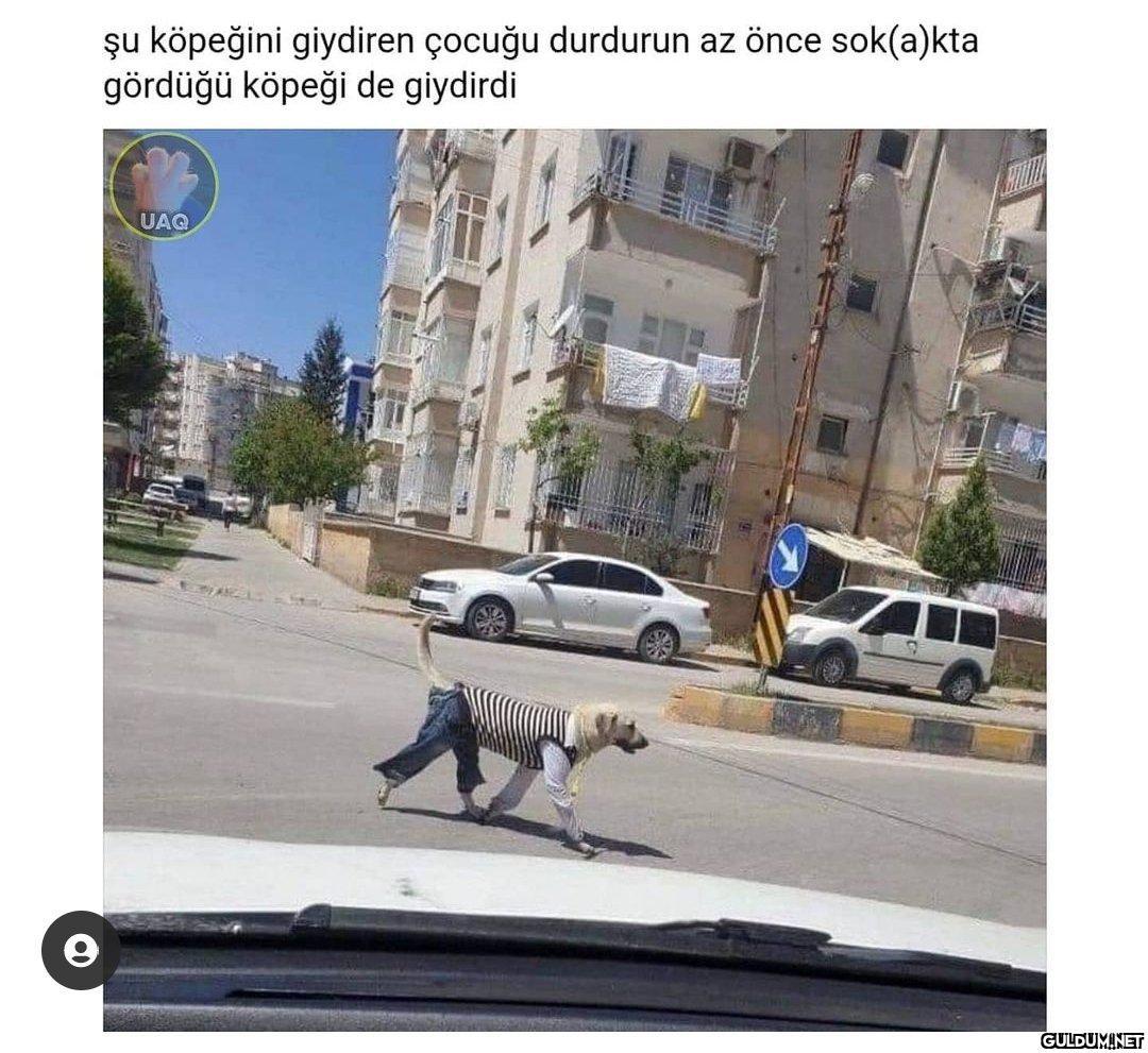 Oğlum niye böyle şeyler...