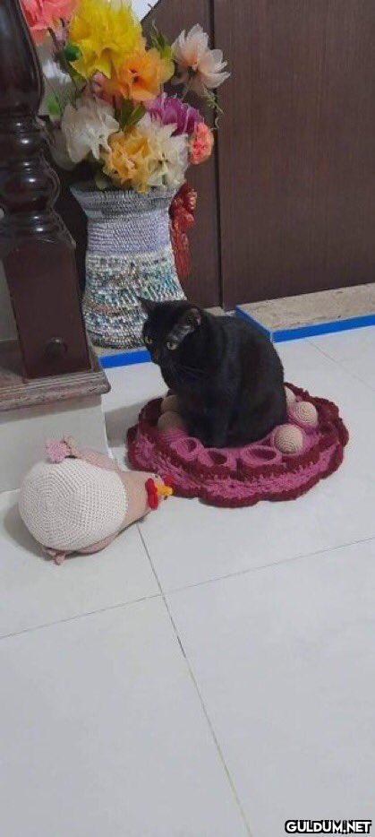 kralllll    Kaynak