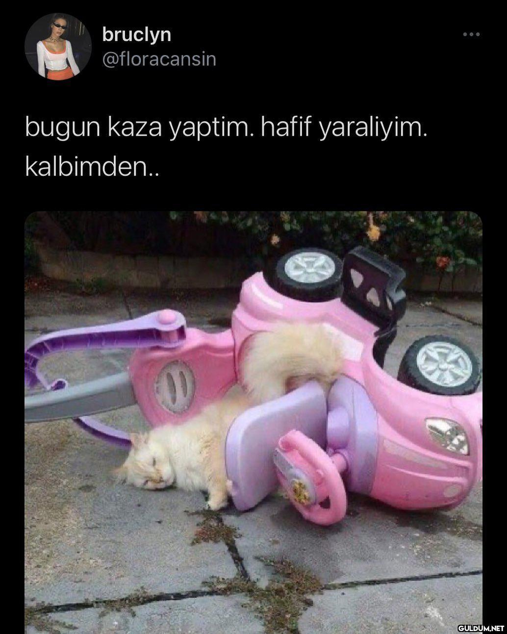 ifsa olmusuz...merak...