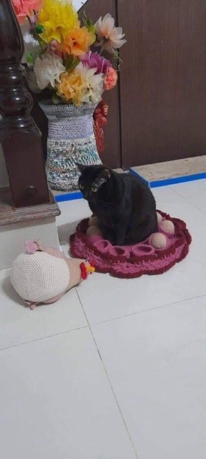 kralllll    Kaynak