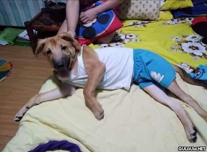 dışarı çıkma yasağında   ...