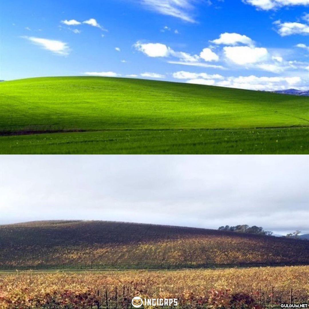O fotonun şimdiki...