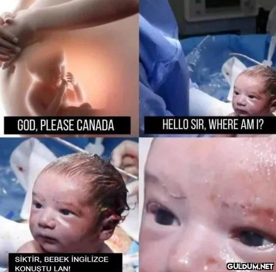 GOD, PLEASE CANADA HELLO...