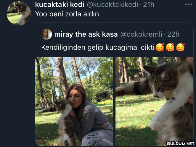 kucaktaki kedi...