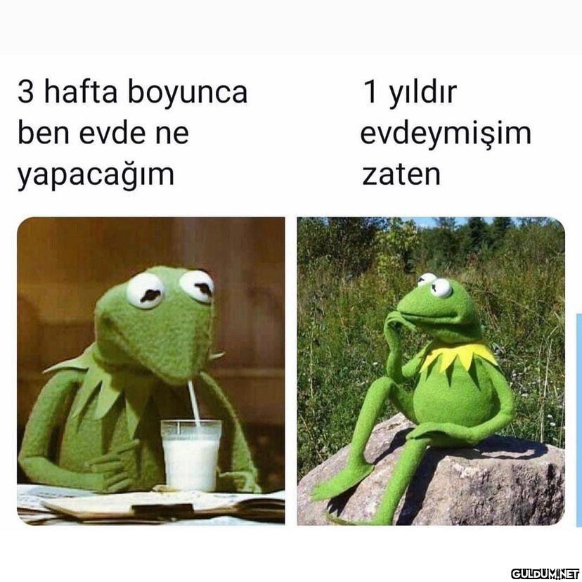 1 yıldır evdeymişim 3...