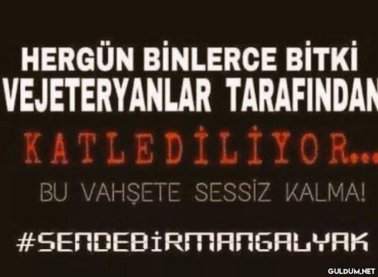 İyi geceler...