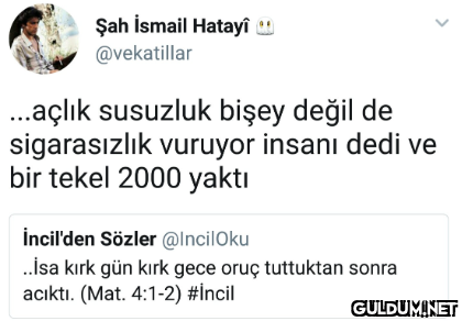 Şah İsmail Hatayî u...
