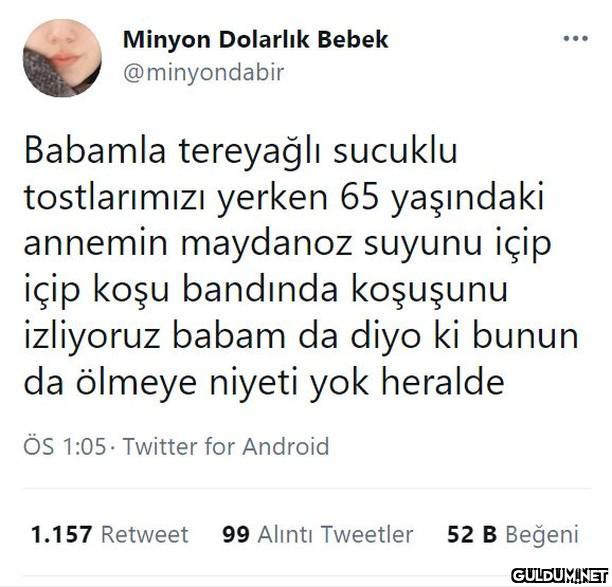 Minyon Dolarlık Bebek...