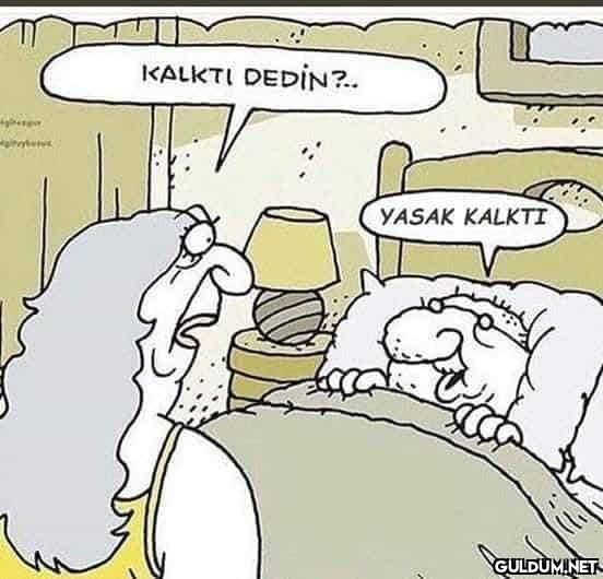 TEK GÖRSELDE MİZAH...
