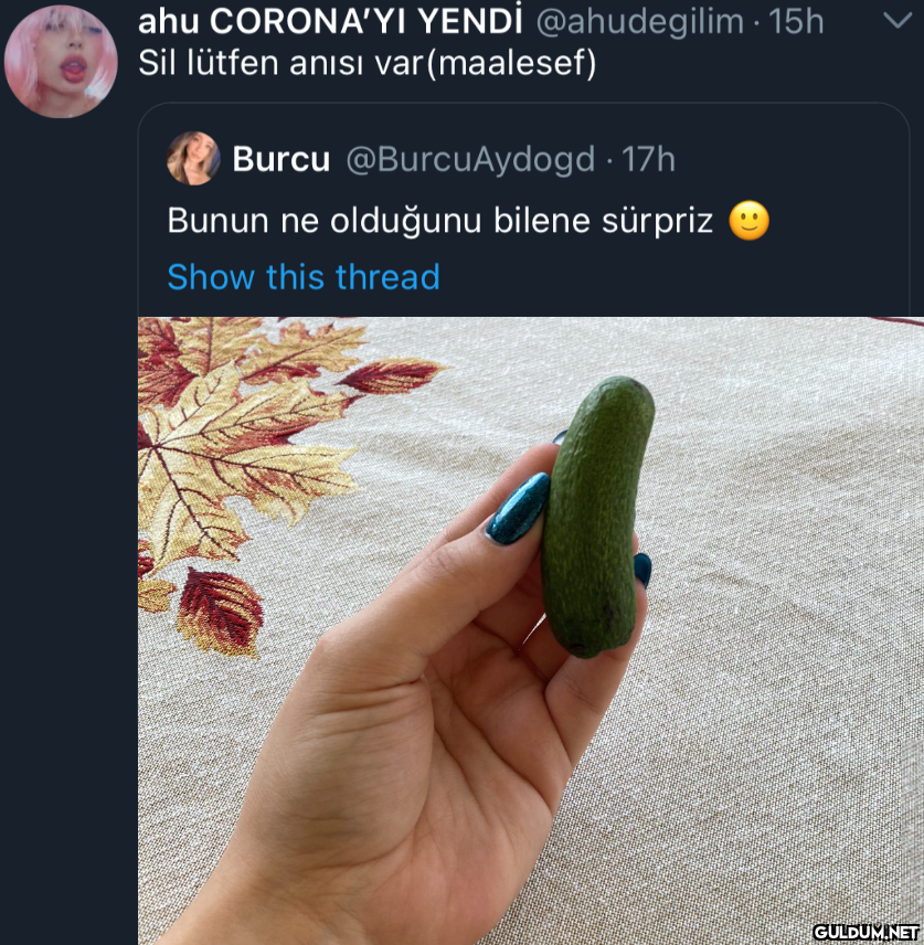 ahu CORONA'YI YENDİ...