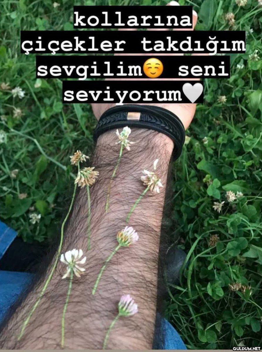 Bu ne yaaa    Sakallarına...