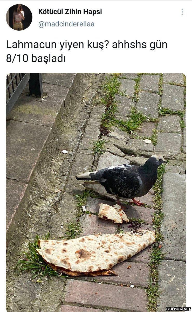 Lahmacunu nerden bulmuş   ...