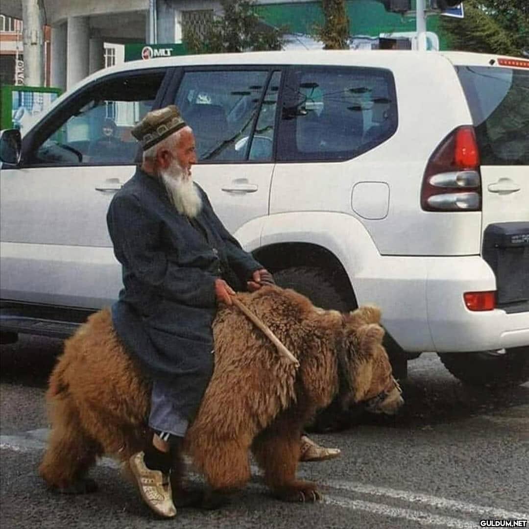 anlamsız fotoğraflar 12833...