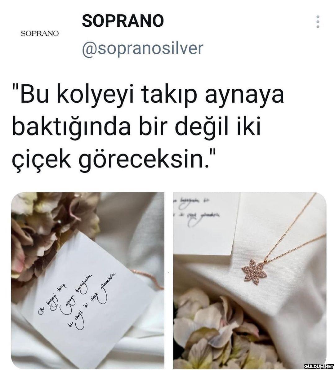 @sopranosilver.co Anneler...