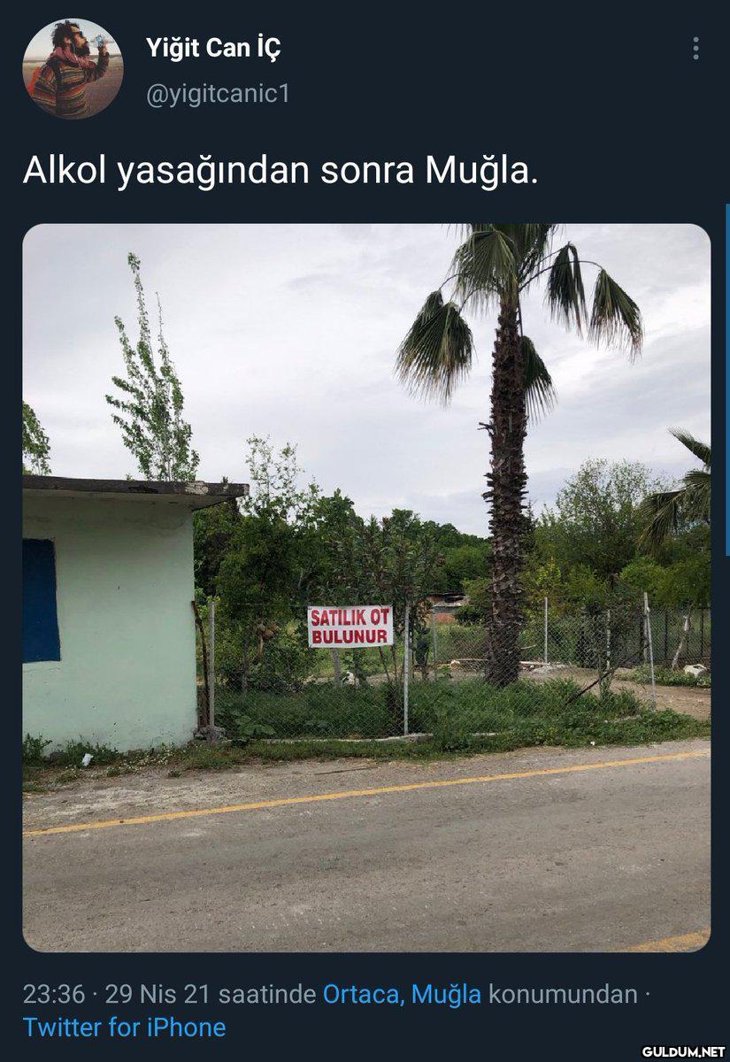 https://t.co/kXav3dRBb3 ...