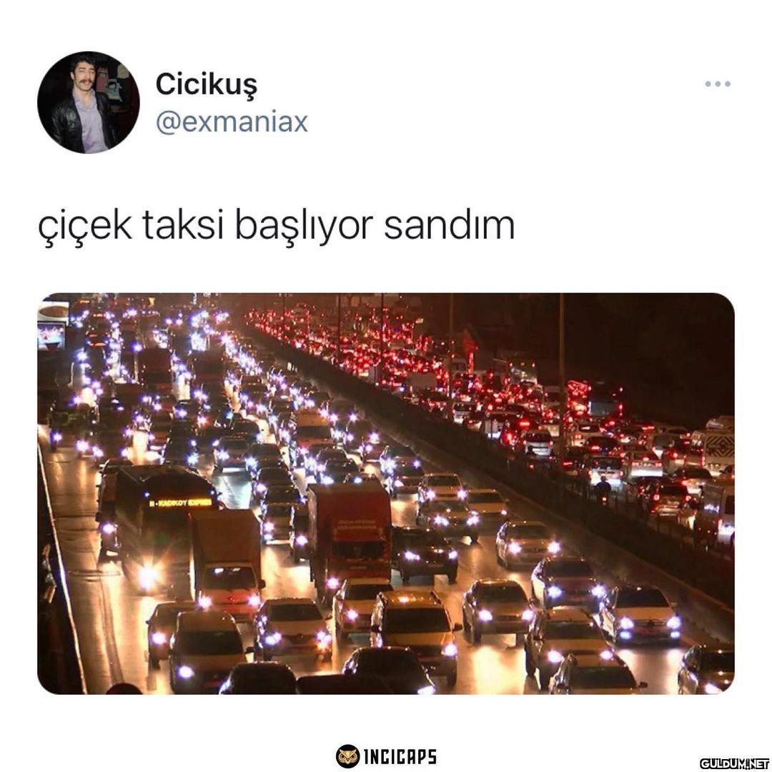 Bebeler bilmez  Cicikuş...