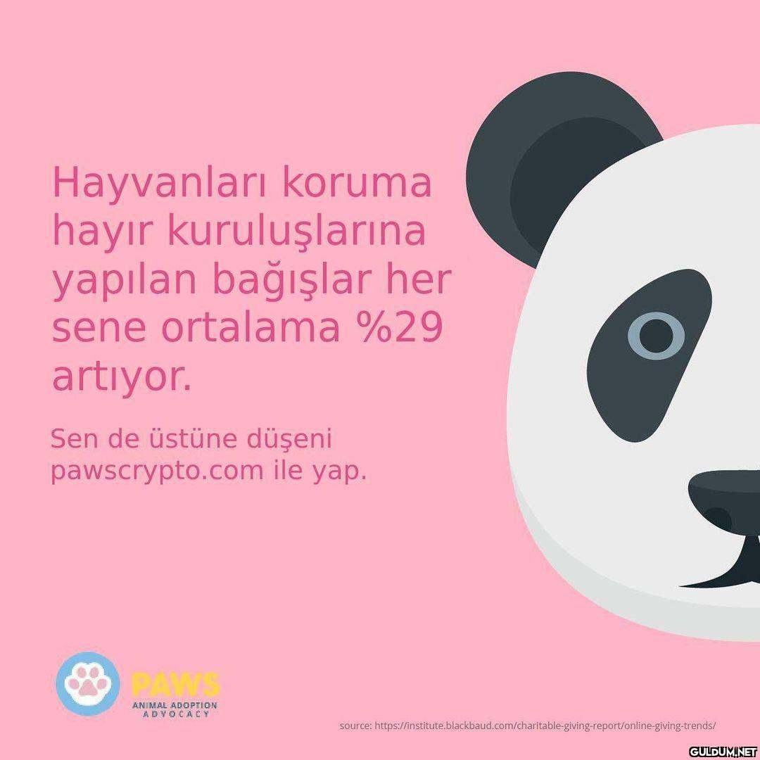 @pawsteamofficial 
Bir...