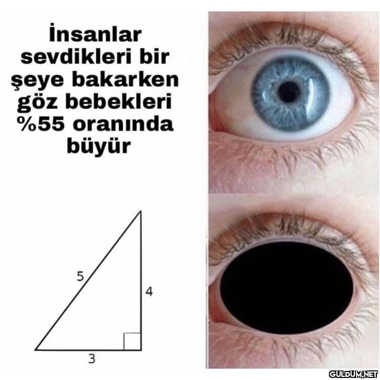 İnsanlar sevdikleri bir...